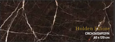 CERANOSA 60X120 CRCH36126912 FN